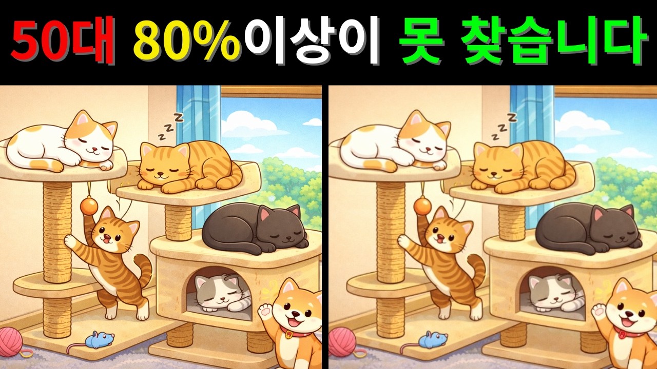 [틀린그림찾기] 관찰력 테스트🔥틀린그림 5문제 도전