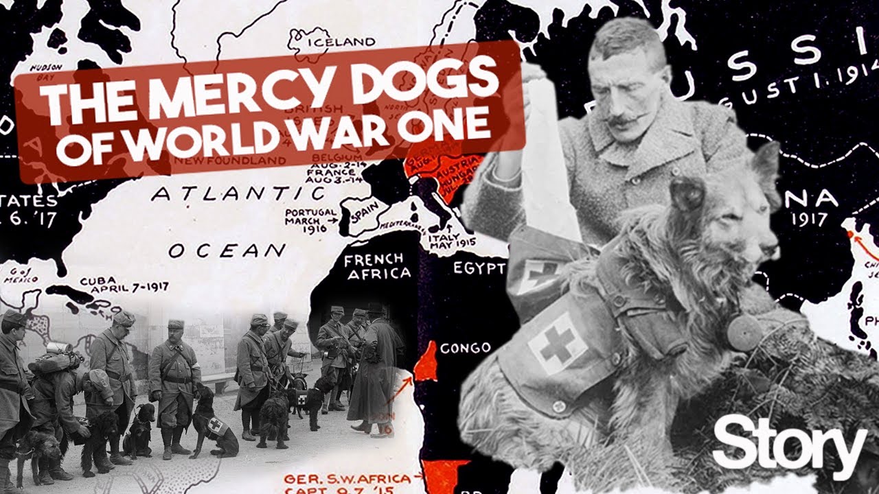 Story S1E2: The Mercy Dogs of World War One