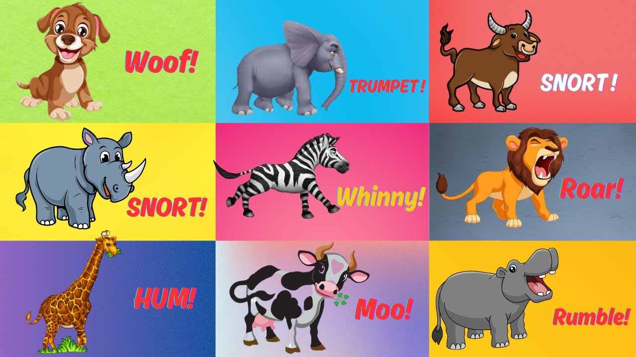 Safari & Zoo ABC Animal Sounds Song for Kids | Learn Animal Names & Sounds