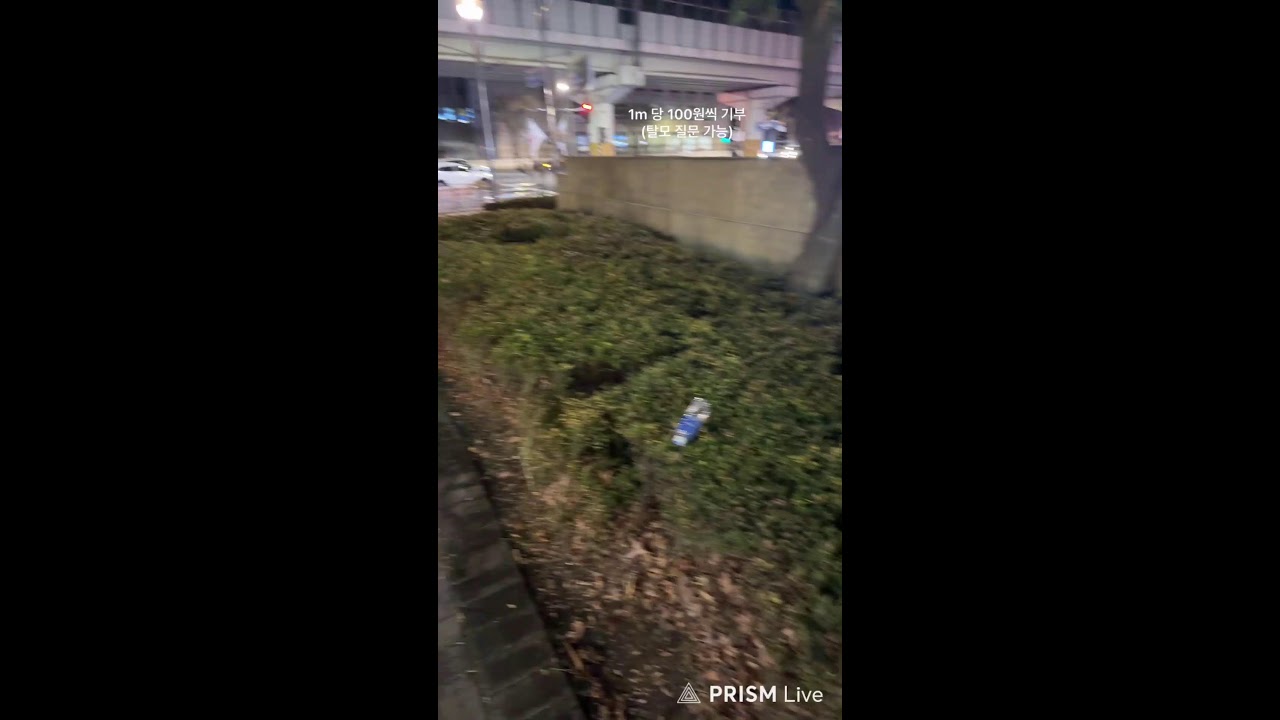 머리심는 의사 라이브 방송