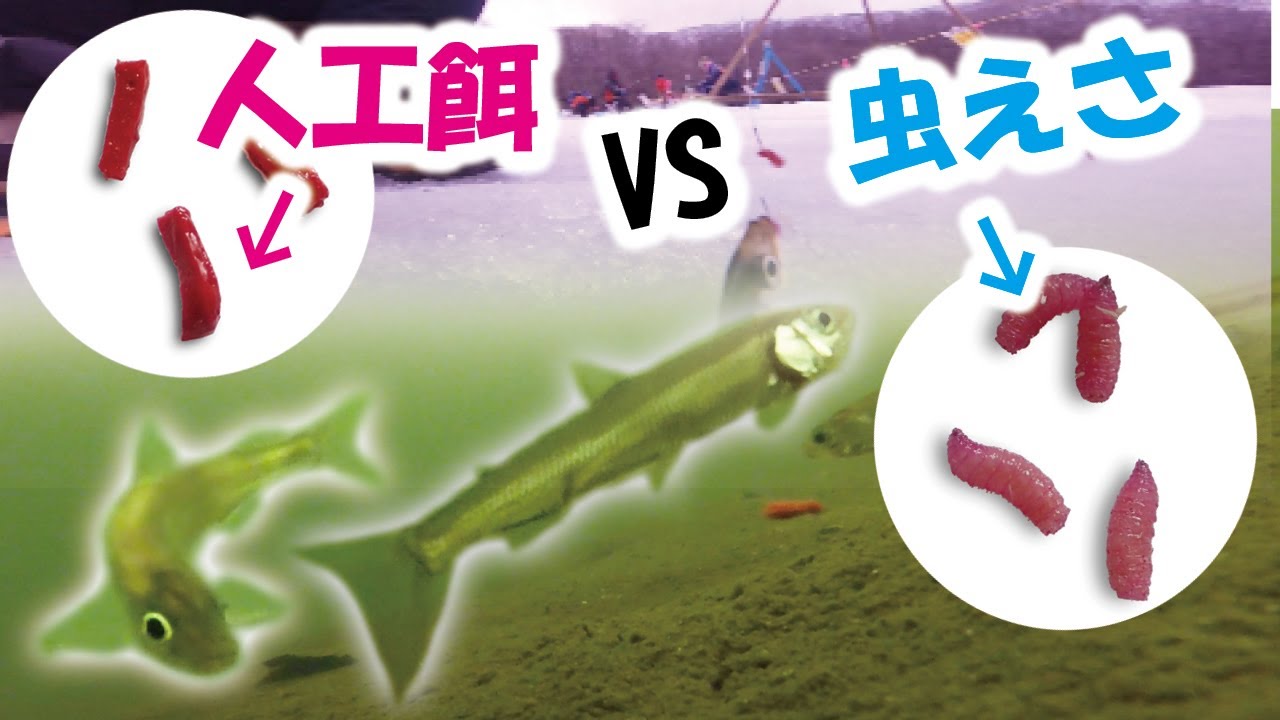 氷上ワカサギ！人工餌は使えるのか試してみた「 水の中を見てみたい6 under water fishing」