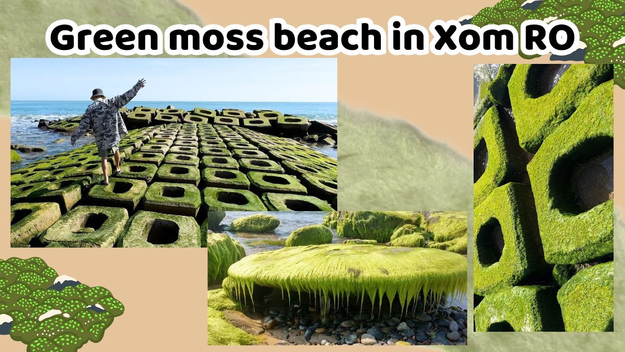 GREEN MOSS BEACH IN XOM RO, VIETNAM. #vietnamtravel