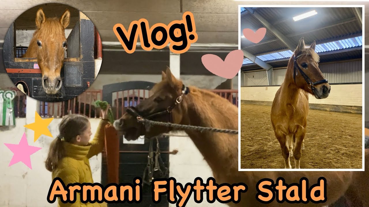 Armani FLYTTER Stald! + Dagene efter