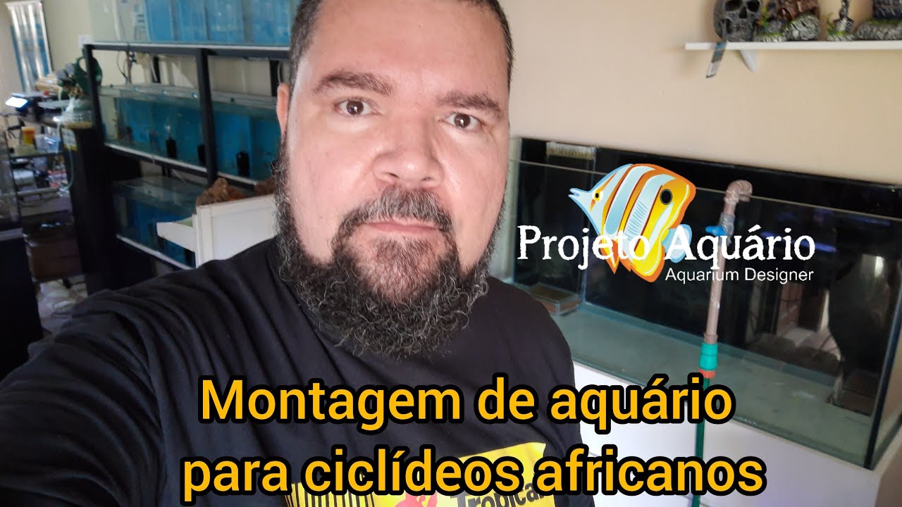 Montagem de aquário para ciclídeos africanos, muitas dicas para o seu novo layout.