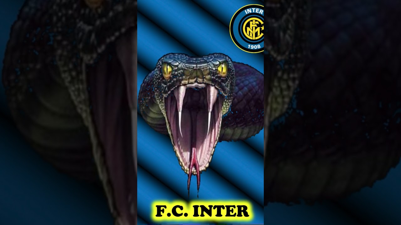 Ecco 3 curiosit&agrave; sull&rsquo;Inter! L&rsquo;ultima ti stupir&agrave;!