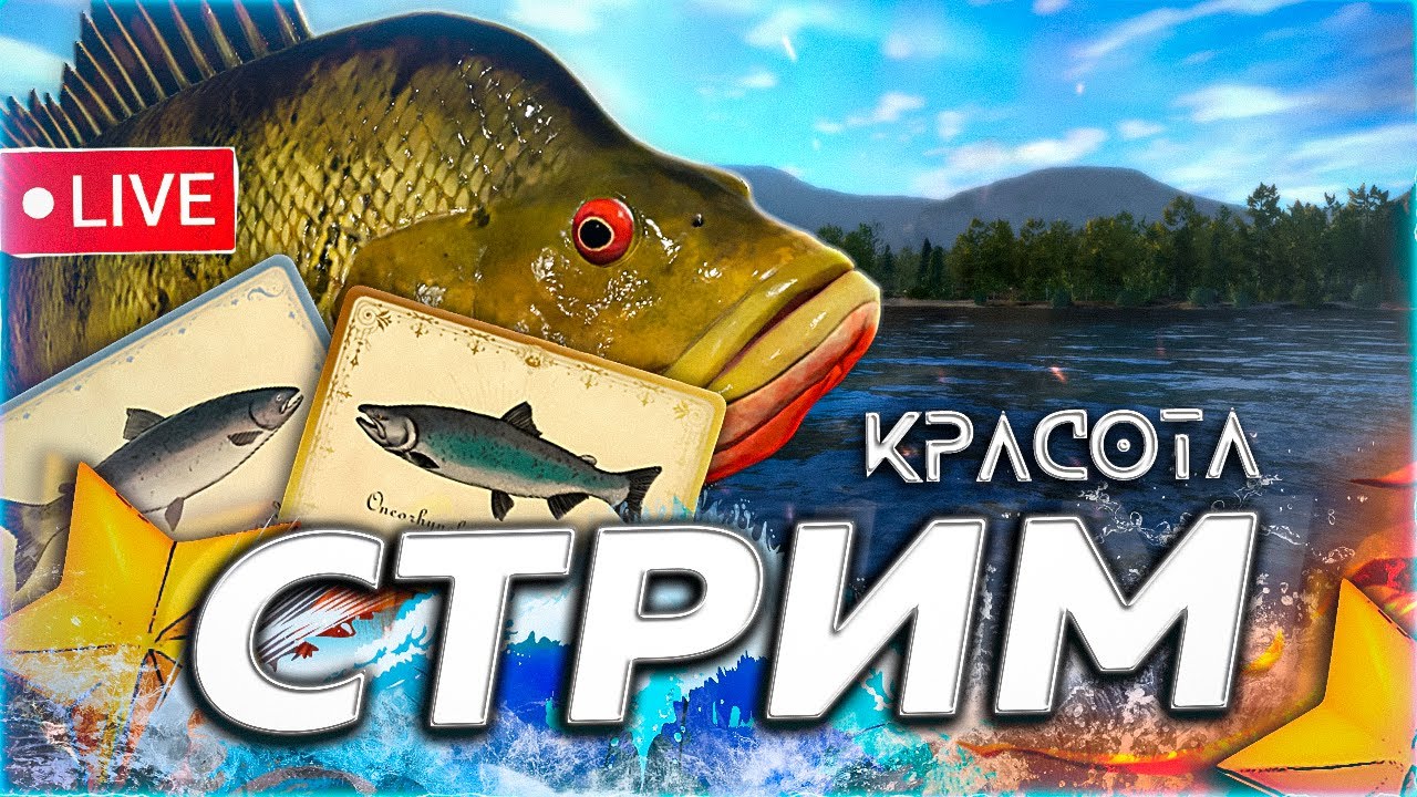 ❄️ ПУТЕШЕСТВИЕ ☃️ ЗА КРАСИВОЙ РЫБКОЙ ПО РАЗНЫМ БАЗАМ 🎁 Рулетка & Розыгрыши🎄СТРИМ Русская Рыбалка 4