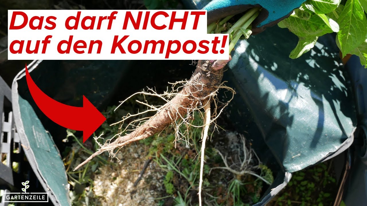 Diese Dinge d&uuml;rfen nicht auf den Kompost! Fast jeder macht es falsch! Wir kl&auml;ren auf!