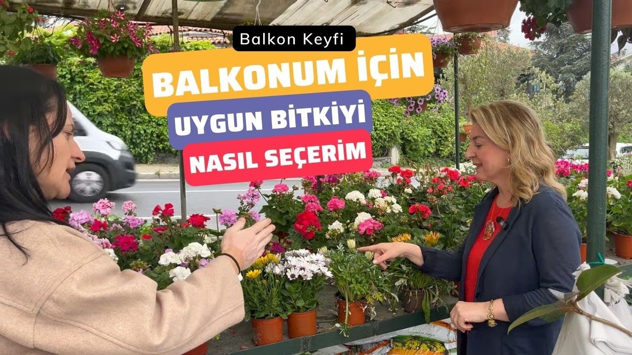 🌱Balkonum için Uygun Bitkiyi Nasıl Seçerim?