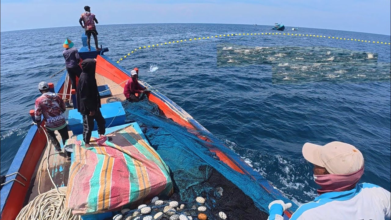 Pukat cincin, Nelayan Indonesia Dapat Banyak Ikan, luar biasa hasil tangkapan nelayan Indonesia