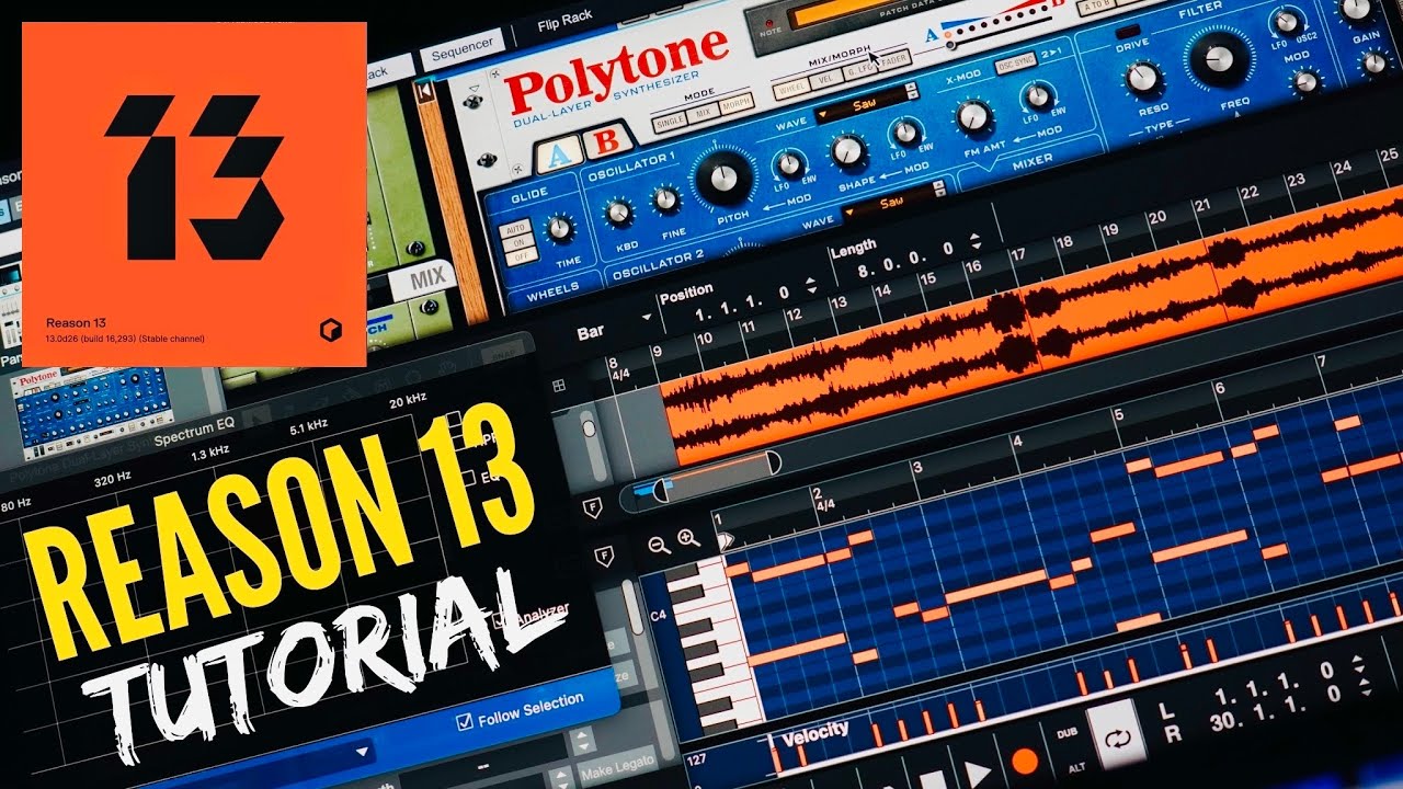 Reason 13 | The DAW they Love to Hate