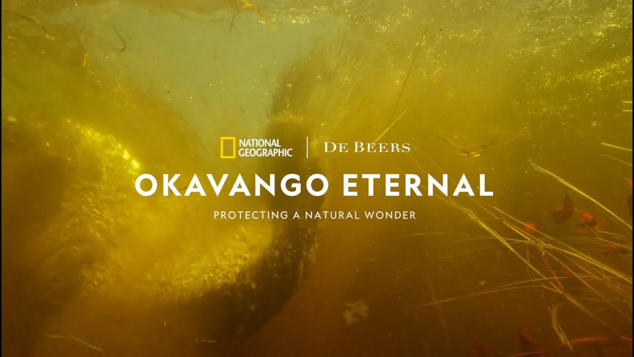 What is the Okavango?