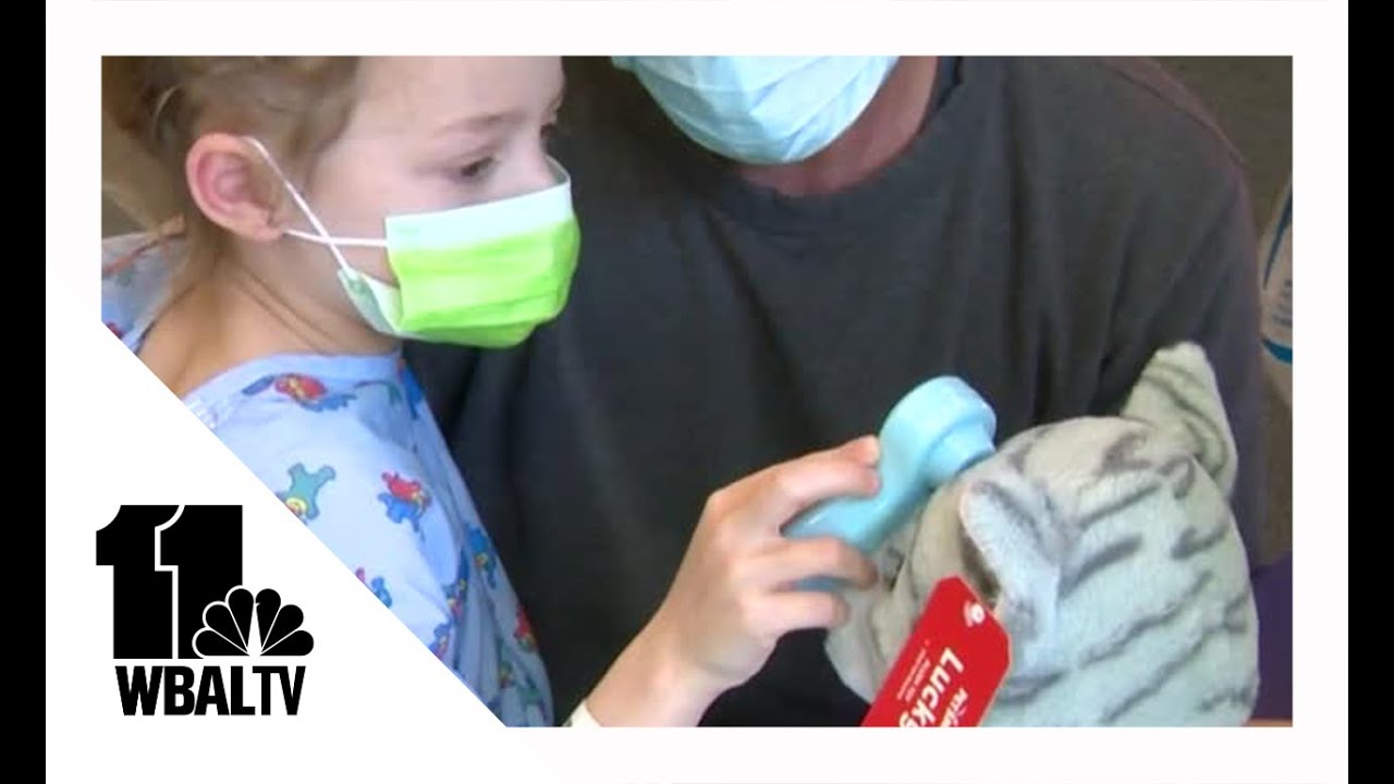 Teddy bear clinic held at Johns Hopkins Children's Center
