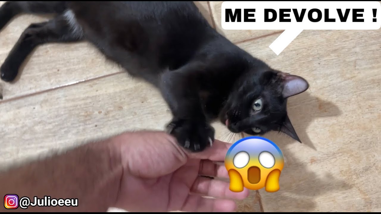 Não dá pra piscar com esses aí 🤦🏻‍♂️ Kkkkkk #VLOG