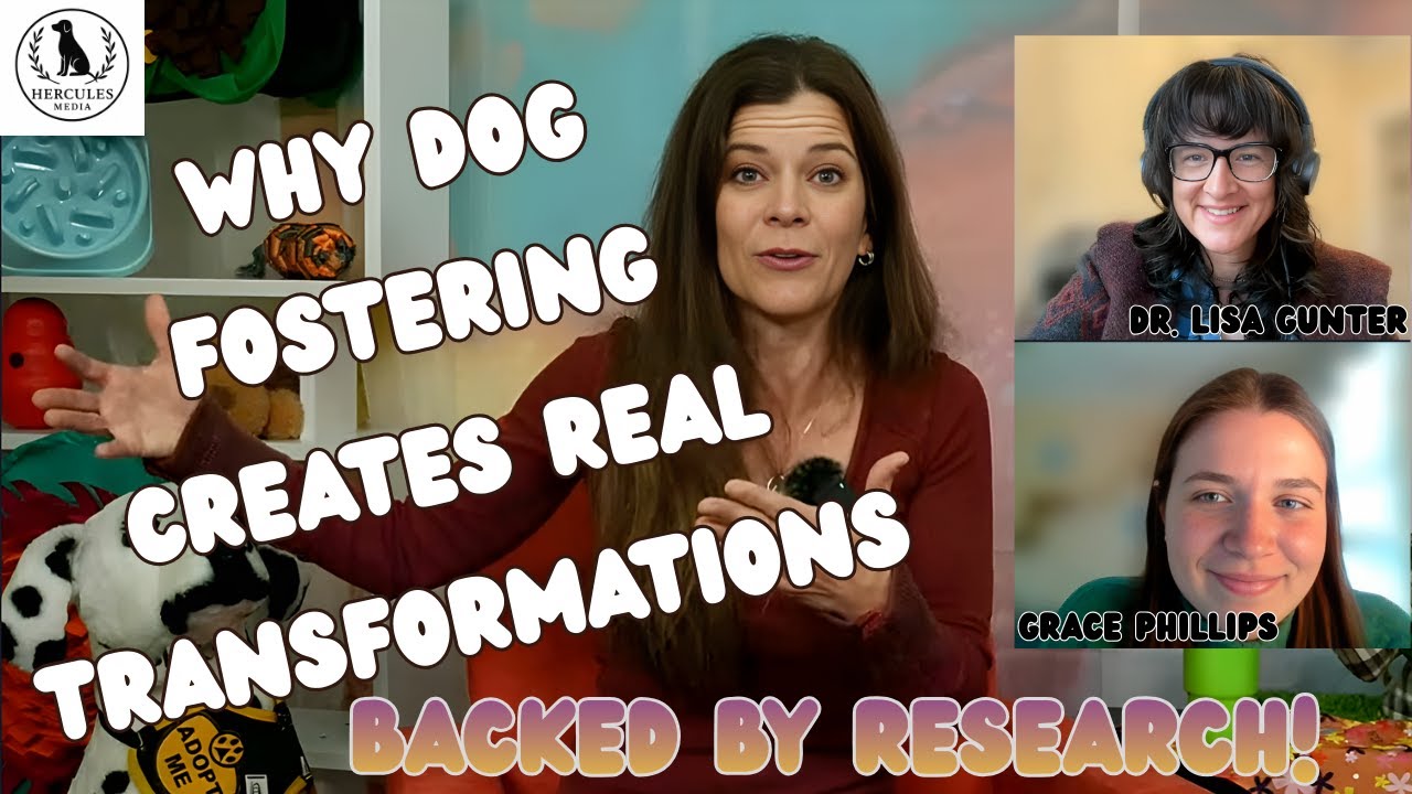 Why Dog Fostering Creates Real Transformations — Backed by Research