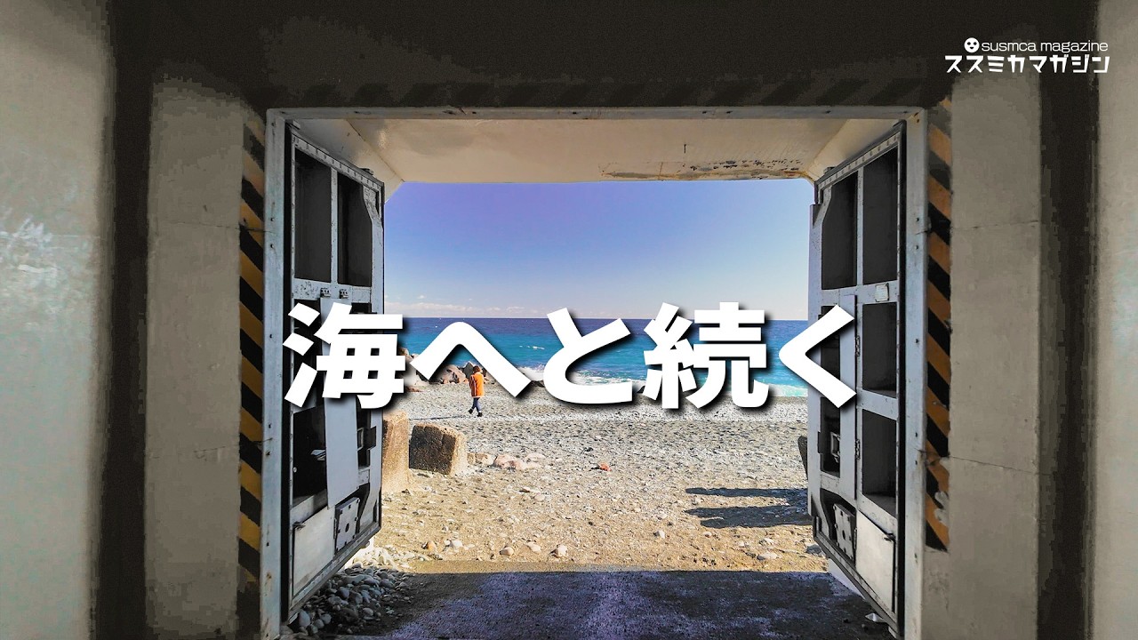 【日帰り旅】海に続くトンネルと河津桜｜小田原・城下町