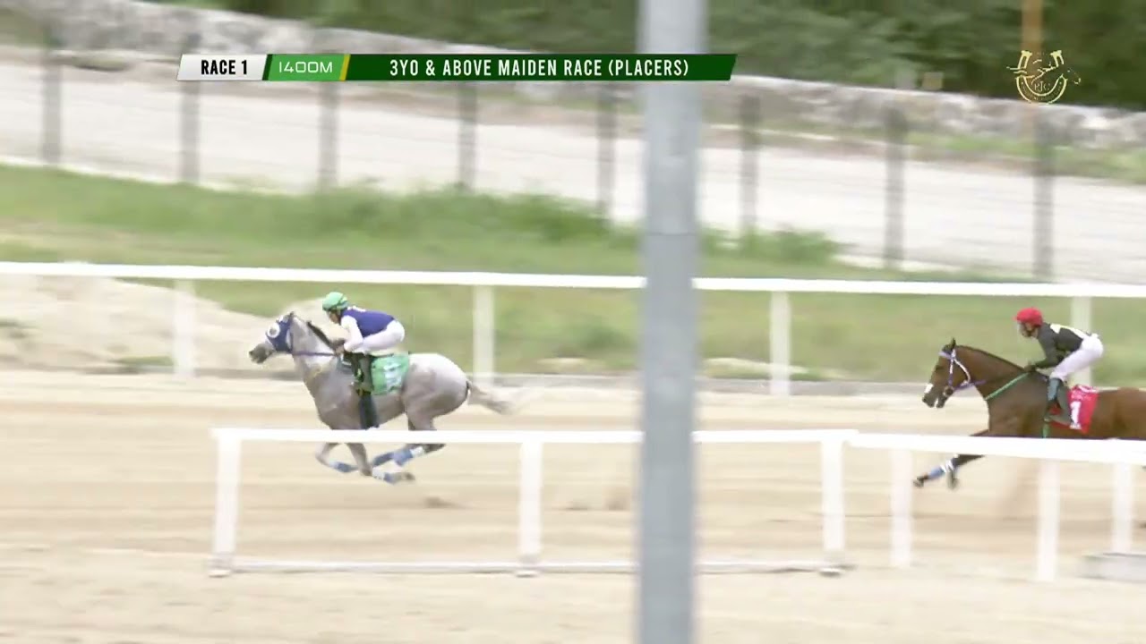 RACE 1 JAN 31, 2026  3yo and Above Mdn 1400