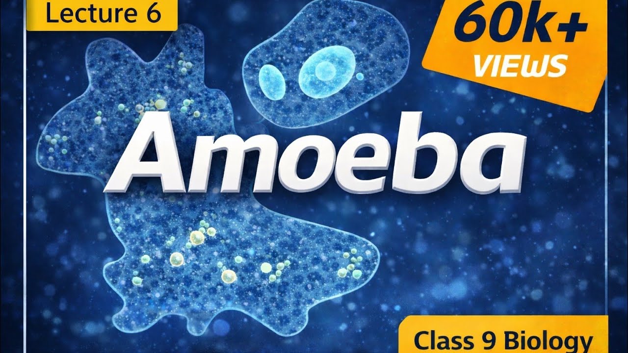 What is Amoeba? Structure & Life Processes | Class 9 Biology