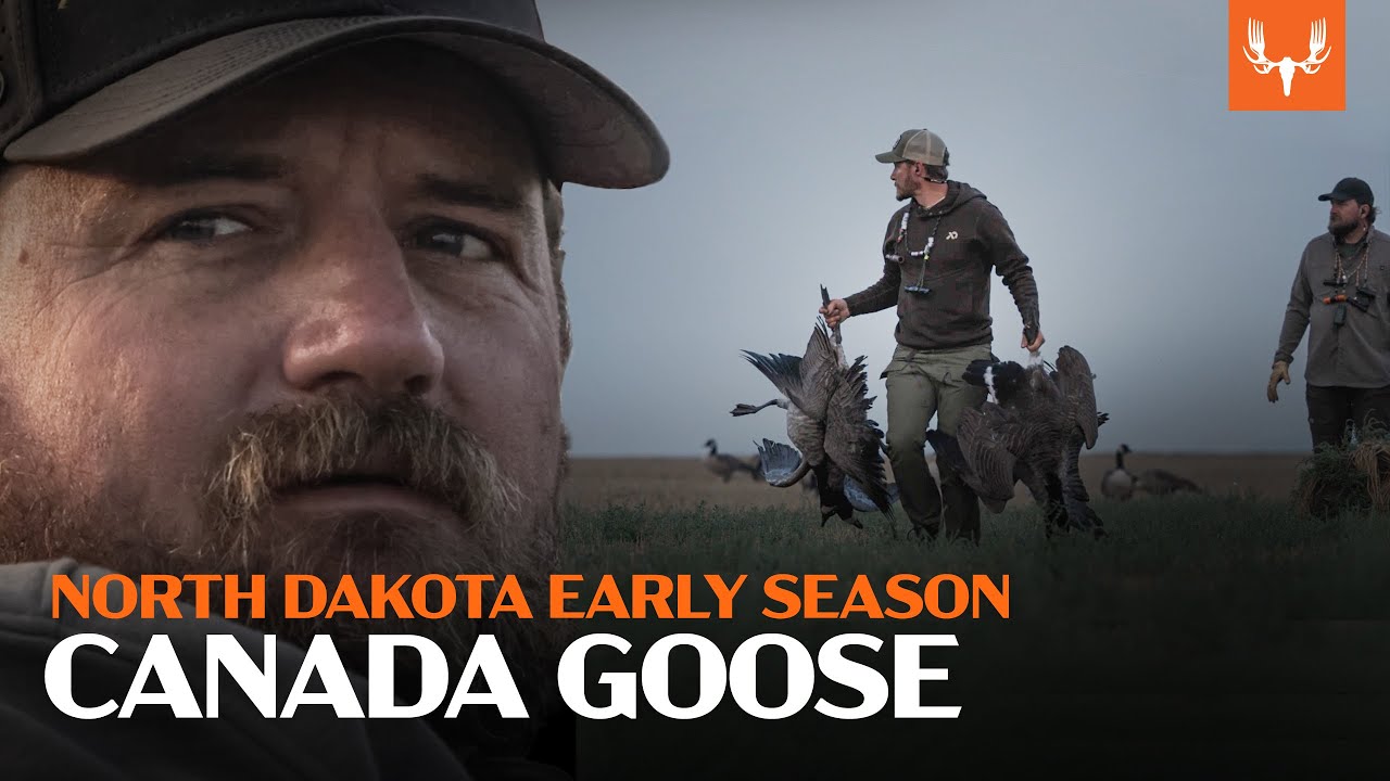 North Dakota Goose Hunting | Flying V Waterfowl