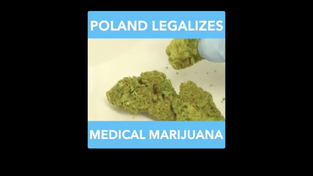 Poland Legalizes Medical Marijuana
