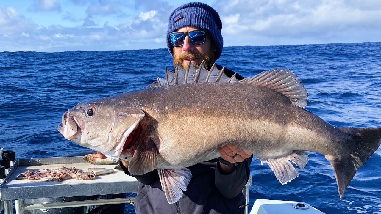 Dropping baits 1000ft deep for Big fish