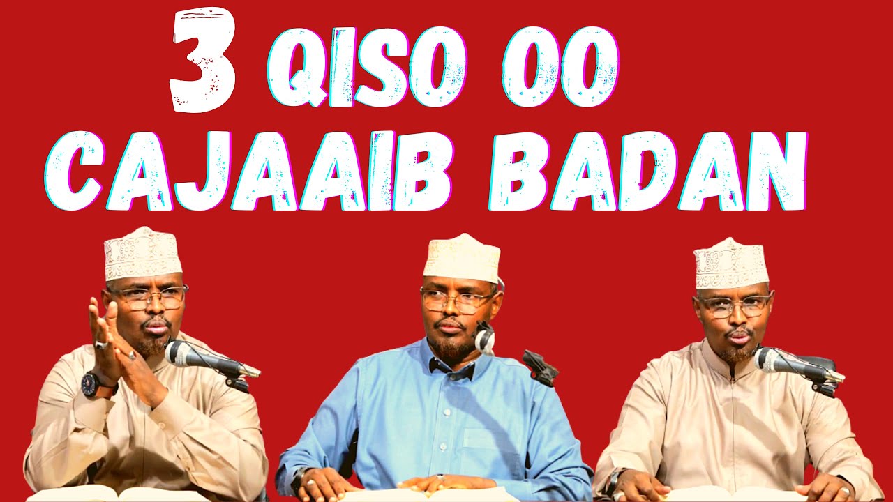 3 Qiso Oo Cajaaib Badan Tubo Tan Kale Kadaran Sh Xassaan