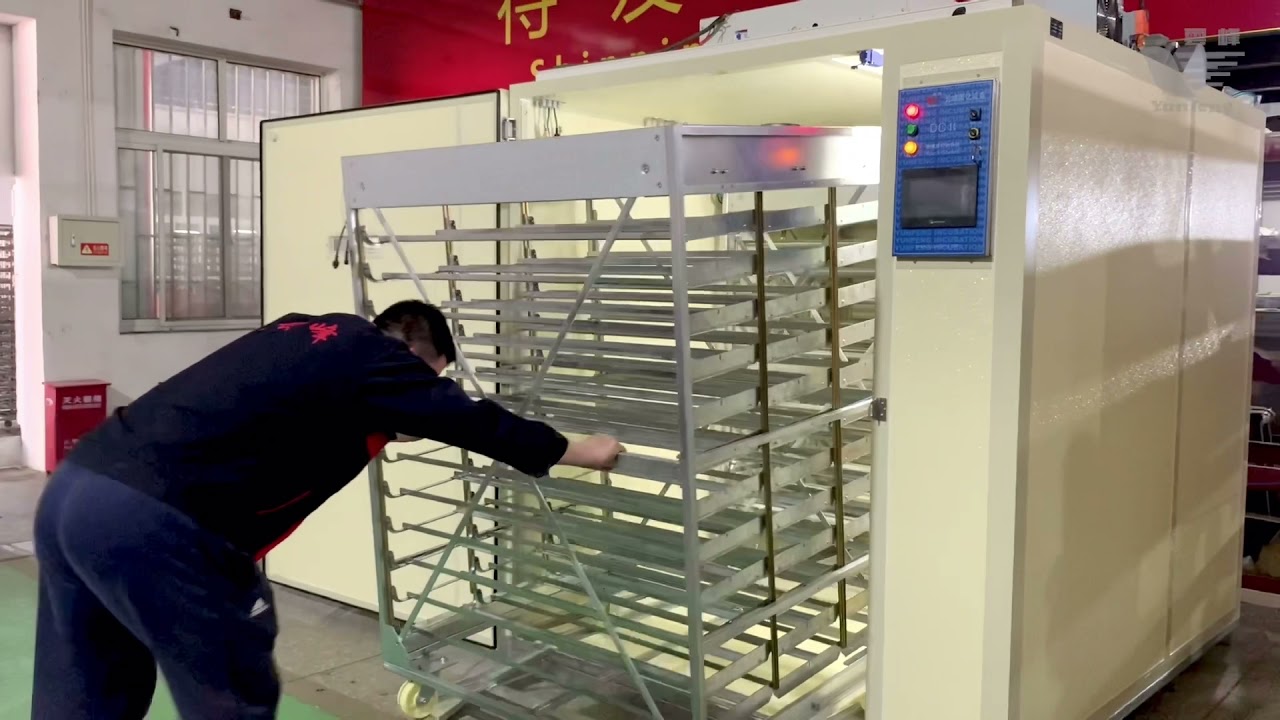 12000 egg capacity incubator