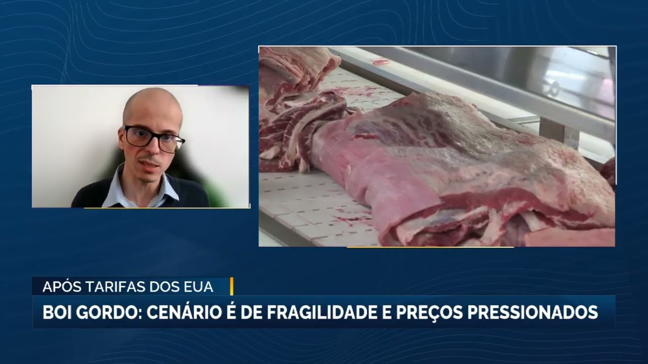 Cenário é de fragilidade e preços pressionados no mercado do boi gordo