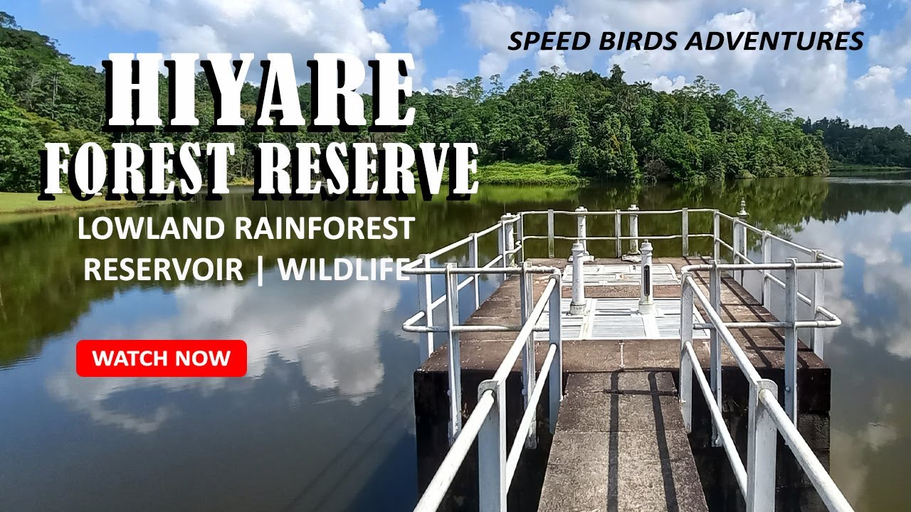 Exploring Hiyare Forest Reserve Galle, Sri Lanka | Biodiversity Hotspot & Eco-Tourism Destination