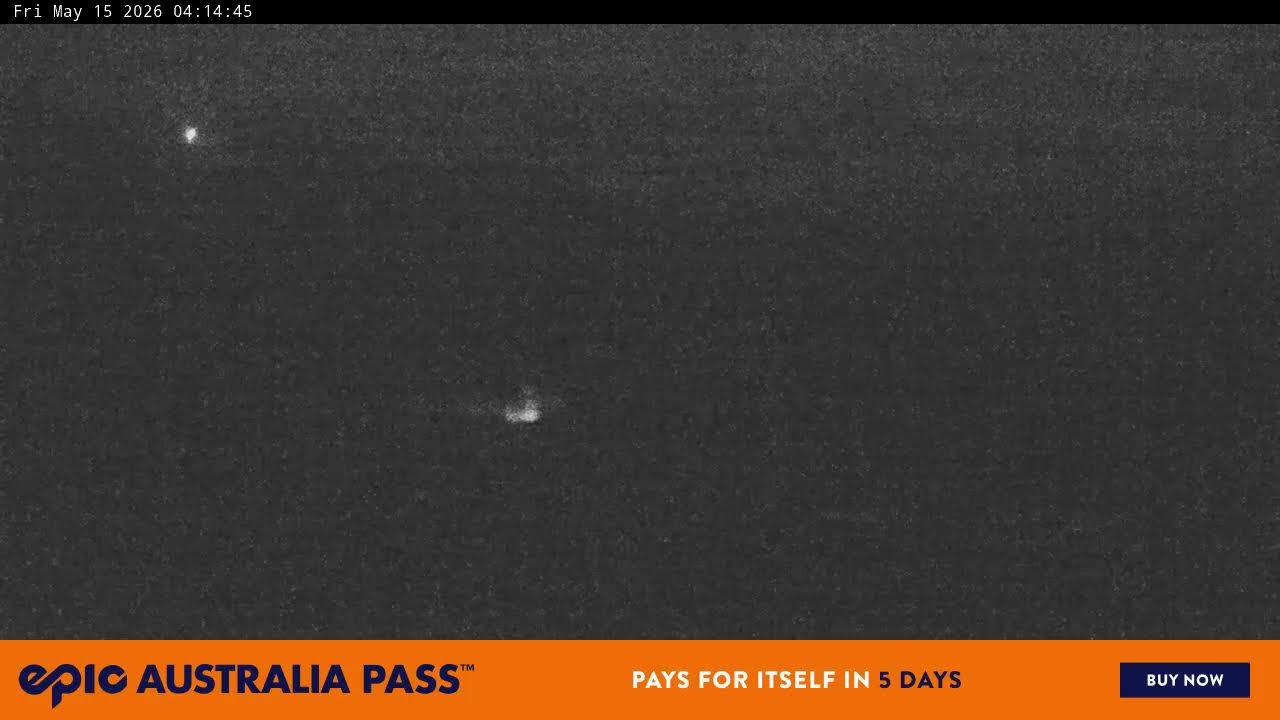 Blue Cow Live Camera