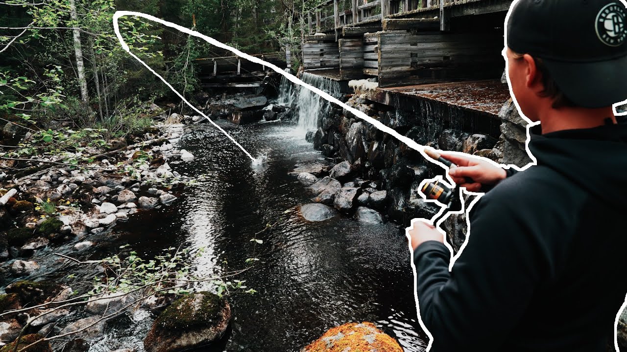 Fiskar ÖRING i LITEN BÄCK - Bäcköringsfiske