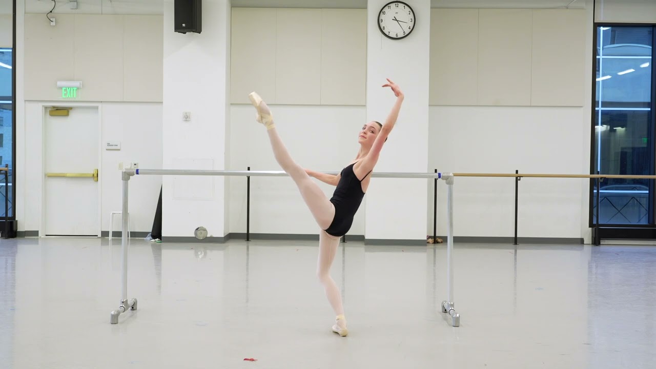 Sarasota Ballet Audition