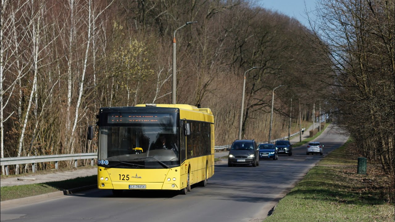 MAZ 203.069 #125 - Pawelec Bytom (Linia 20) 🎵ZF, most🎵 [*]