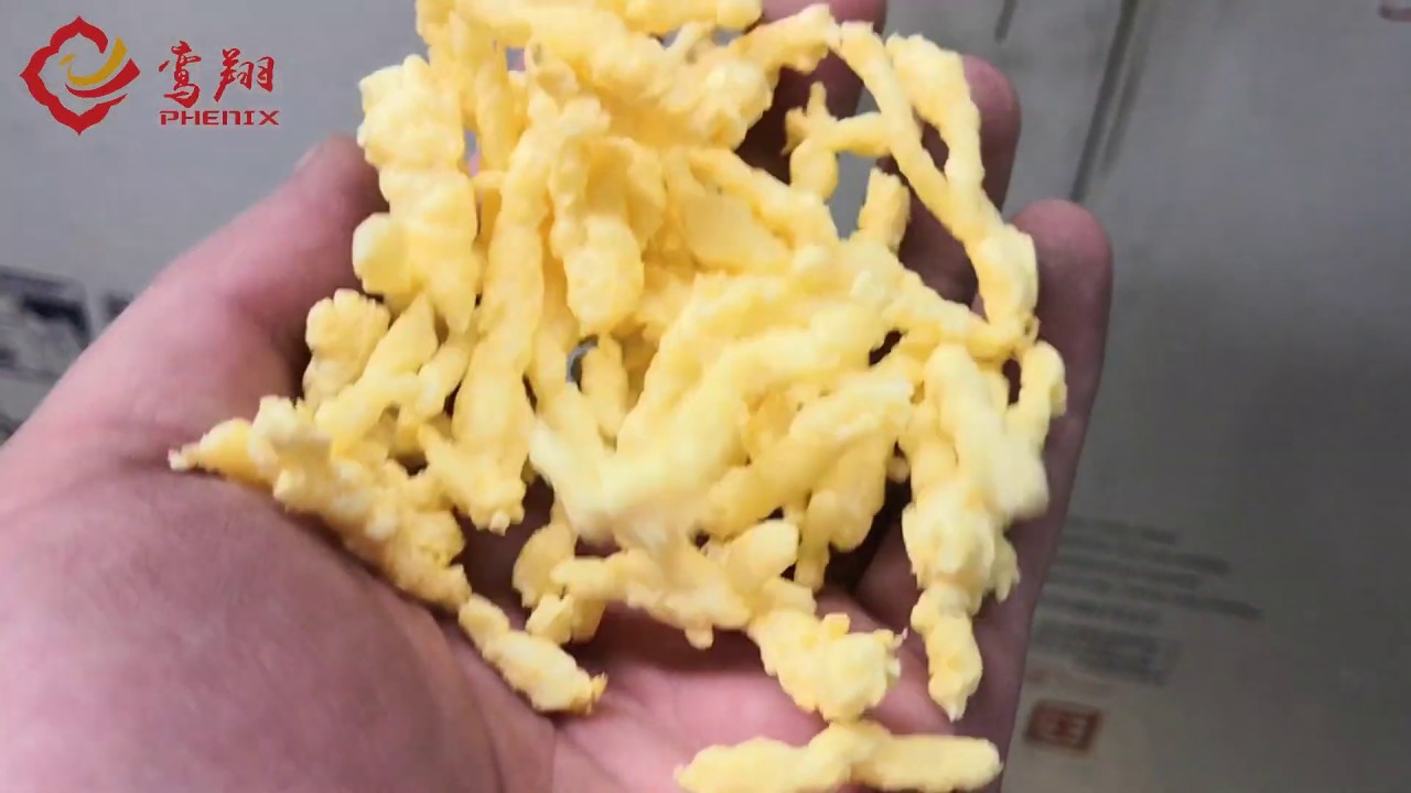 Stainless Steel Nacho Cheese Flavored Cheetos Making Machine | Jinan Phenix Machinery &reg;