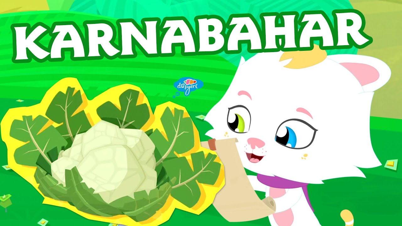 Pisi Çizgi Film - Karnabahar - Düşyeri