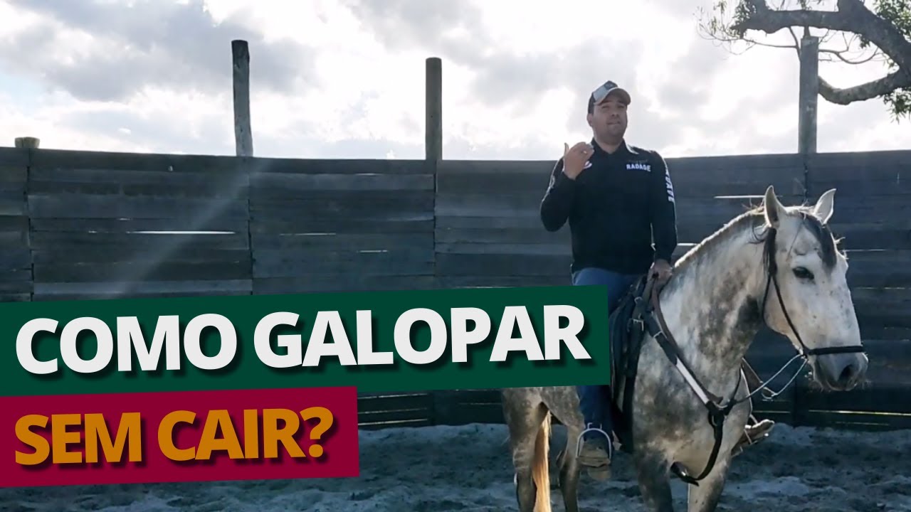 Como galopar sem cair? Aprenda agora!