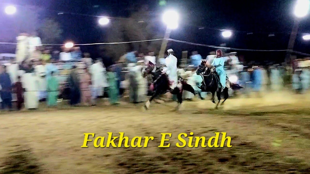 Fakhar E Sindh Horse 😇 | Night Jalsa 🌙 | Horse Lover ♥️