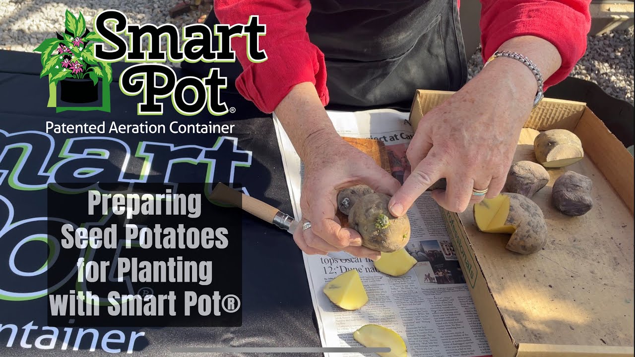 Preparing Seed Potatoes for Planting with Smart Pot&reg; - Ep 13