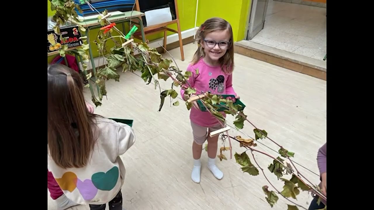 El alumnado de 4 años celebra el otoño vendimiando y pisando uvas