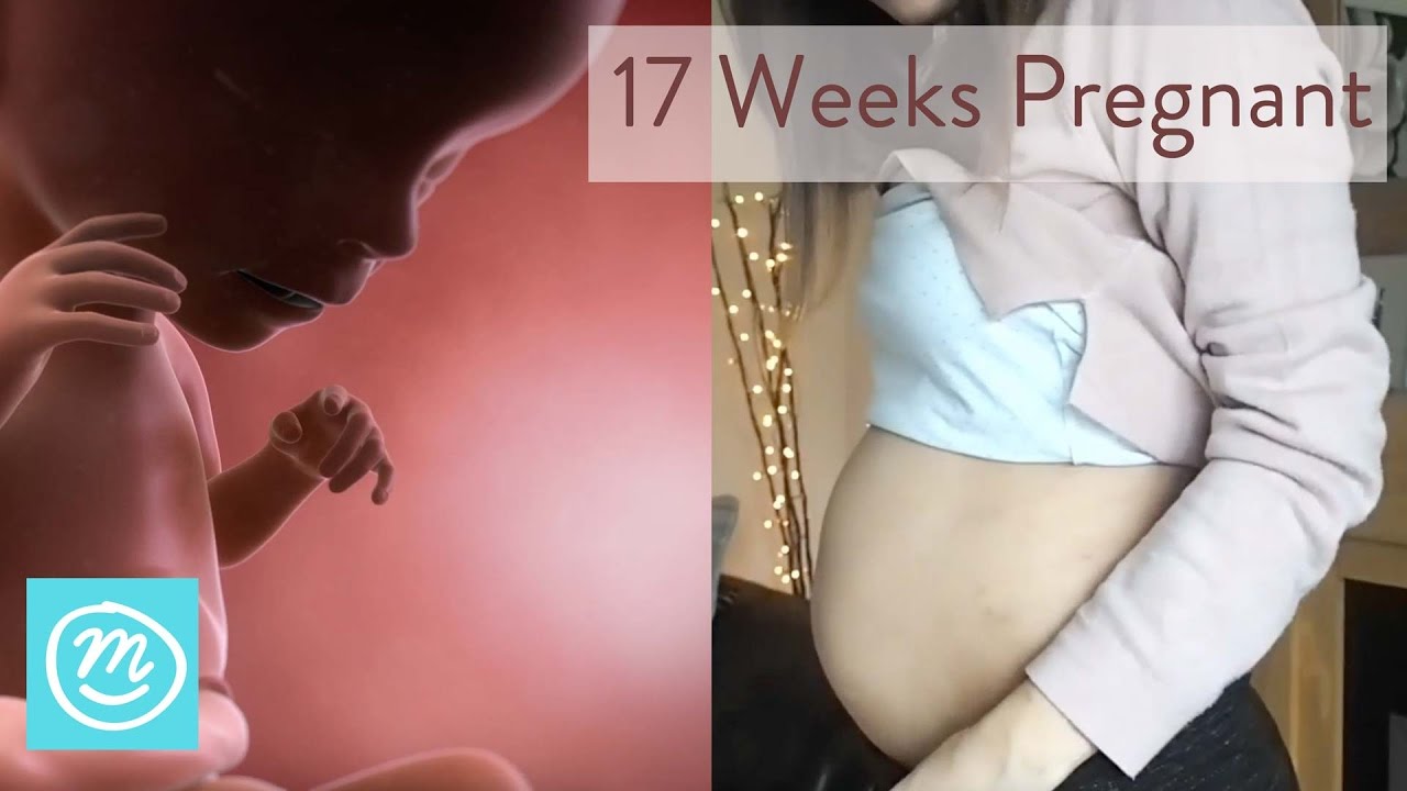 17 Weeks Pregnant: What You Need To Know - Channel Mum