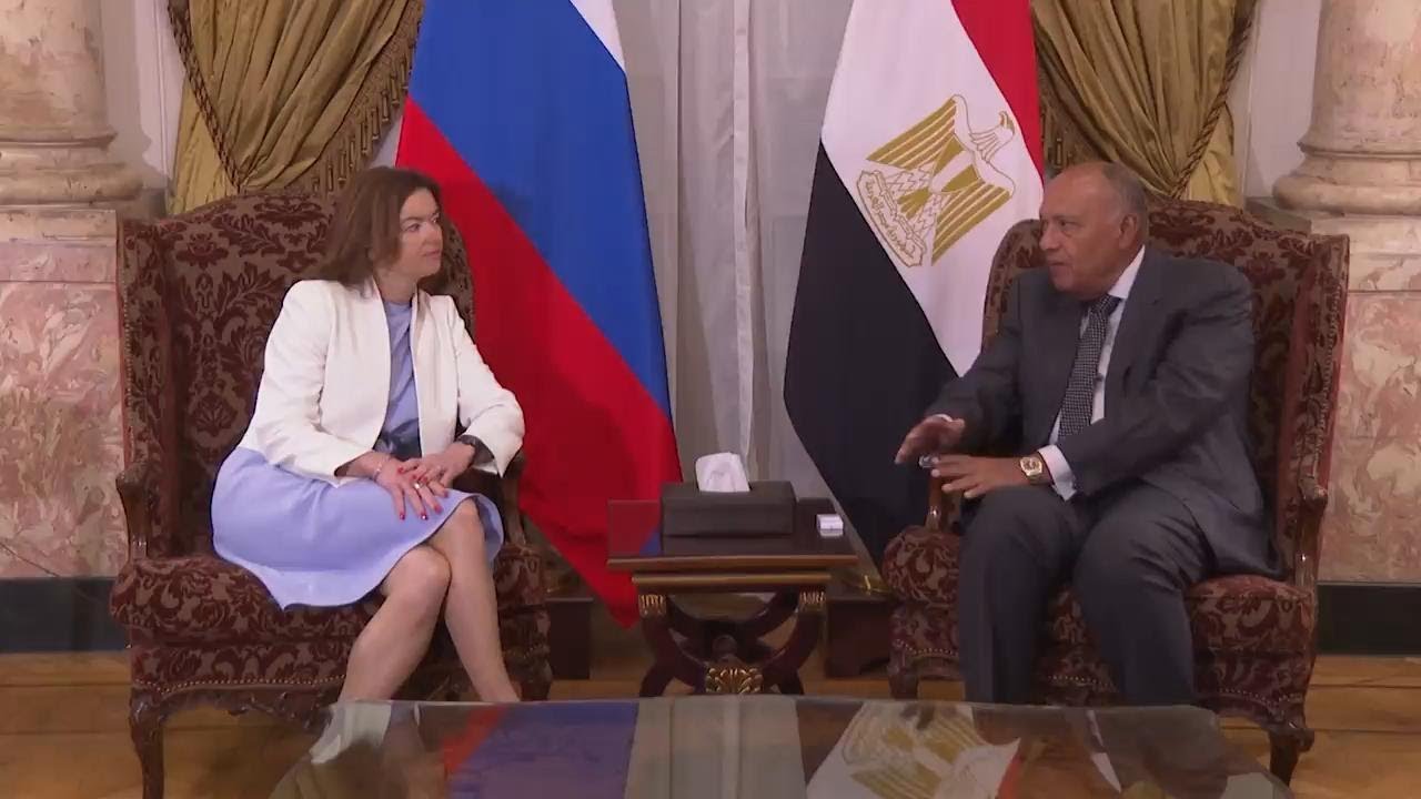 Gaza war dominates talks between Egypt FM Shoukry and Slovenia counterpart Fajon in Cairo