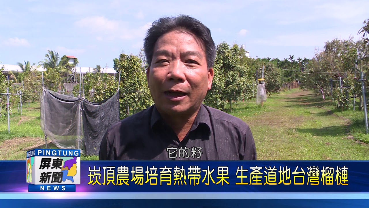 109 0506 崁頂農場培育熱帶水果 生產道地台灣榴槤