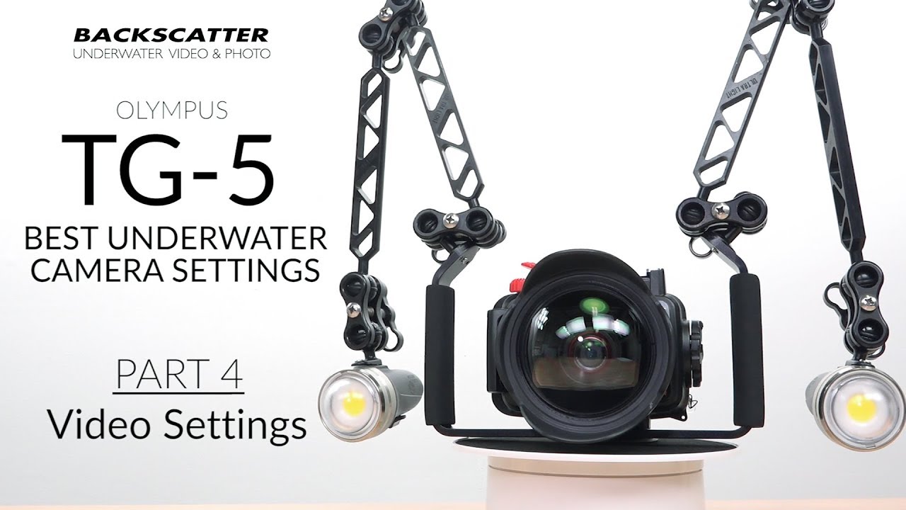 Part 4: Video Settings | Olympus TG-5 Best Camera Settings for Underwater Photography