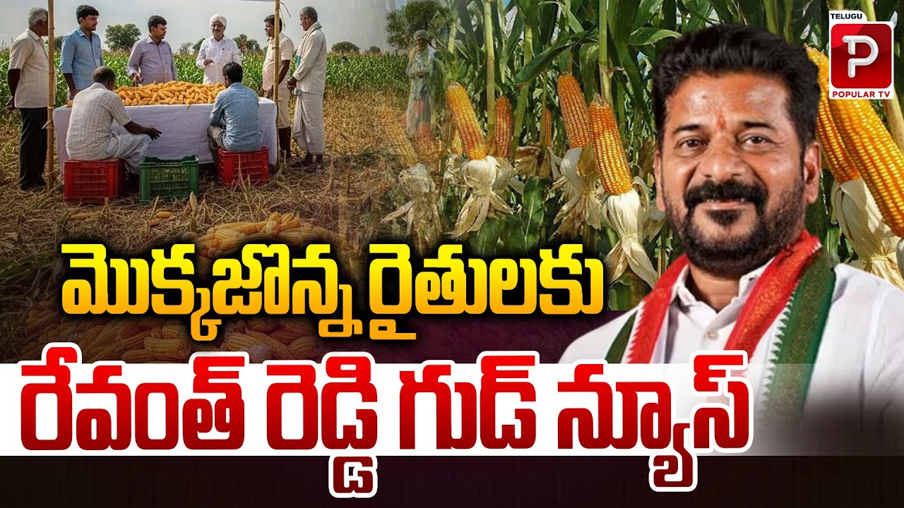 Revanth Reddy Announces Big Relief for Corn Farmers in Telangana! | Tummala Nagehswar | Popular TV