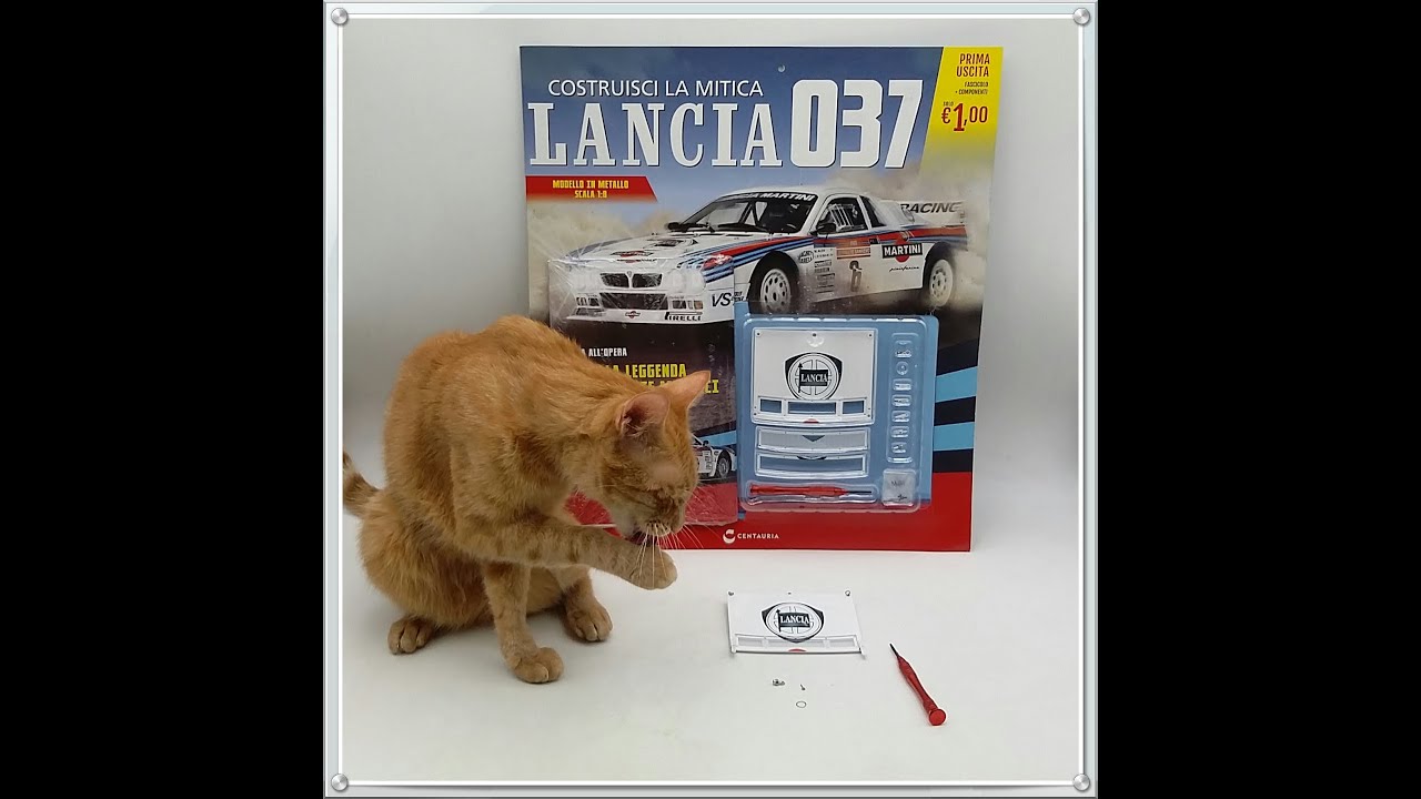 Lancia 037 prima uscita. Montaggio mascherina del cofano anteriore. Edizione Centauria in scala 1:8.