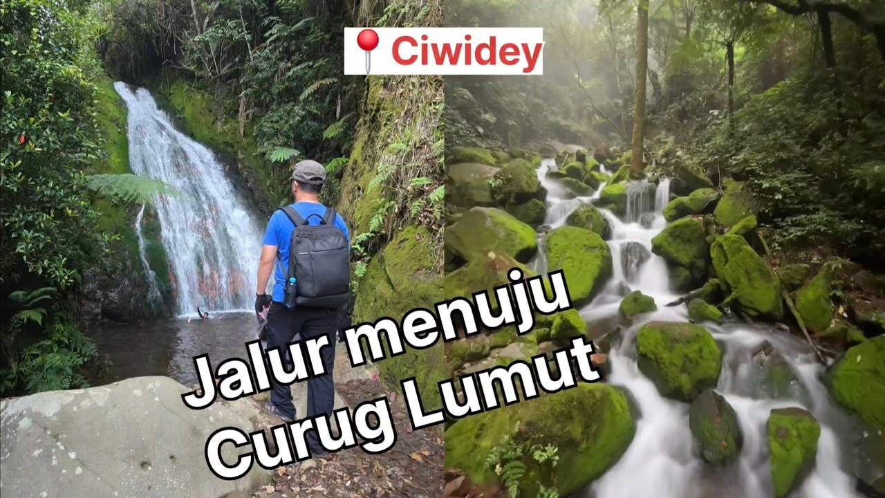 Jalan menuju Curug Lumut - Ciwidey. 