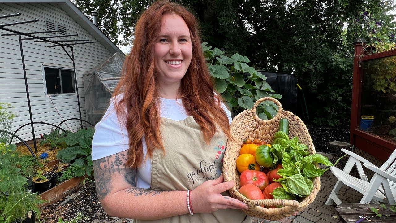 Tending tomatoes and other helpful hints for your garden