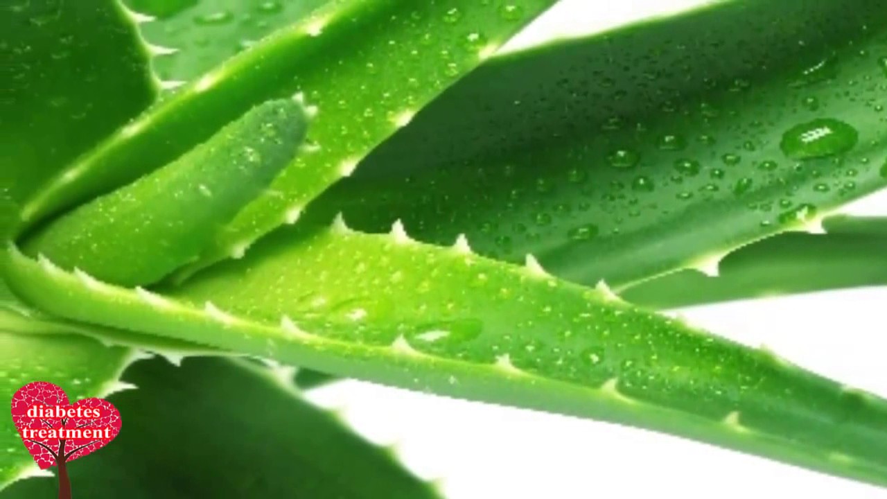 Aloe vera and Diabetes