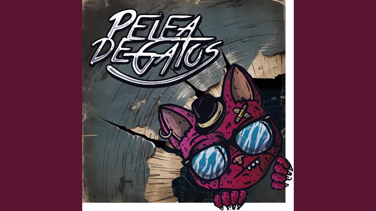 Pelea De Gatos