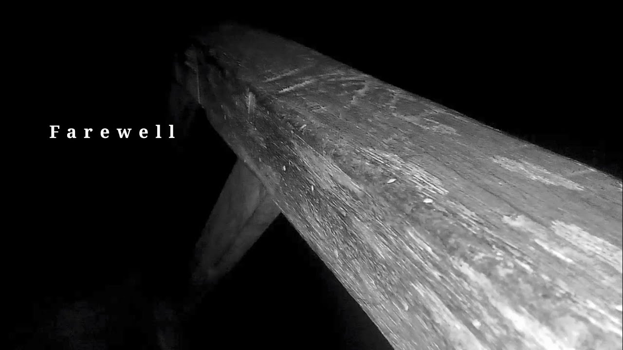 Koinn Boutter - Farewell (Visualizer) 