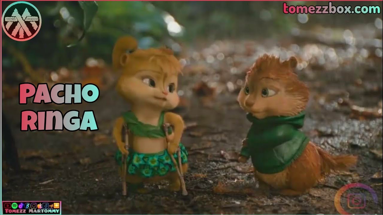 Pachoboy - Ringa | Tomezz Martommy | Alvin & Chipmunks | Chipettes